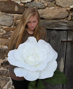 Giant paper rose flowers