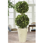 Preserved Boxwood Topiary - Double Ball 19"