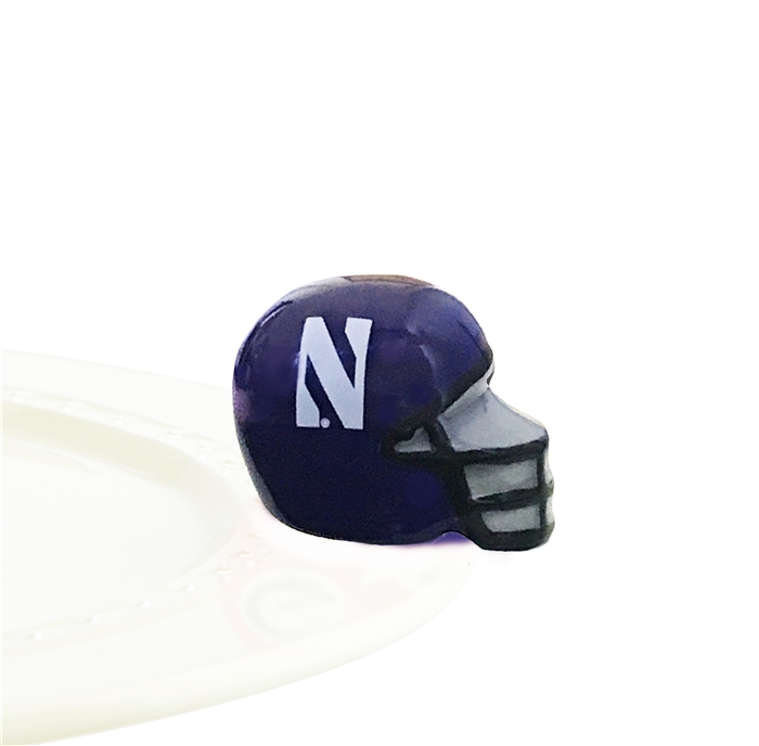 Nora Fleming Northwestern Football 