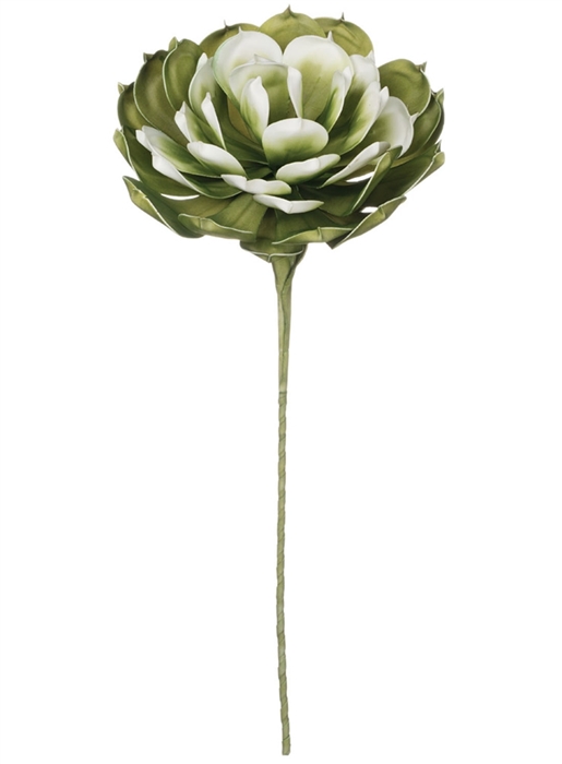 Green Zinnia Foam Flower - Permanent Floral Wedding Decoration - Large  Decorative Flowers