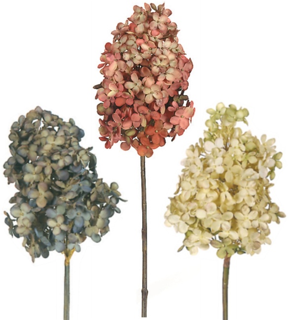 Dried Hydrangea Flowers for sale