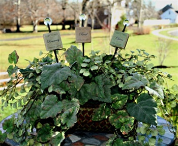 Herb garden stakes plant markers